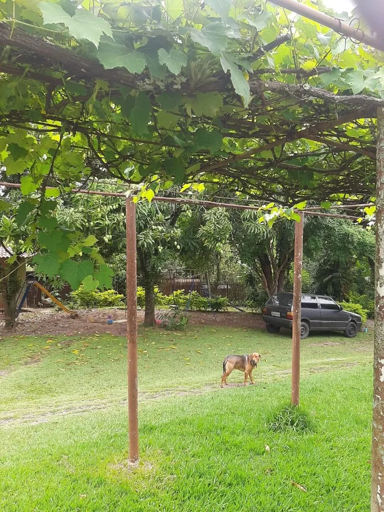 Chácara, 3 quartos - Foto 4