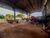 Loja-Salão, 350 m² - Foto 3