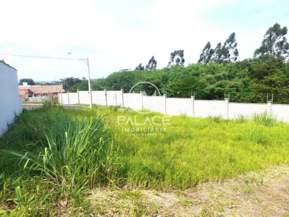 Terreno - Foto 3