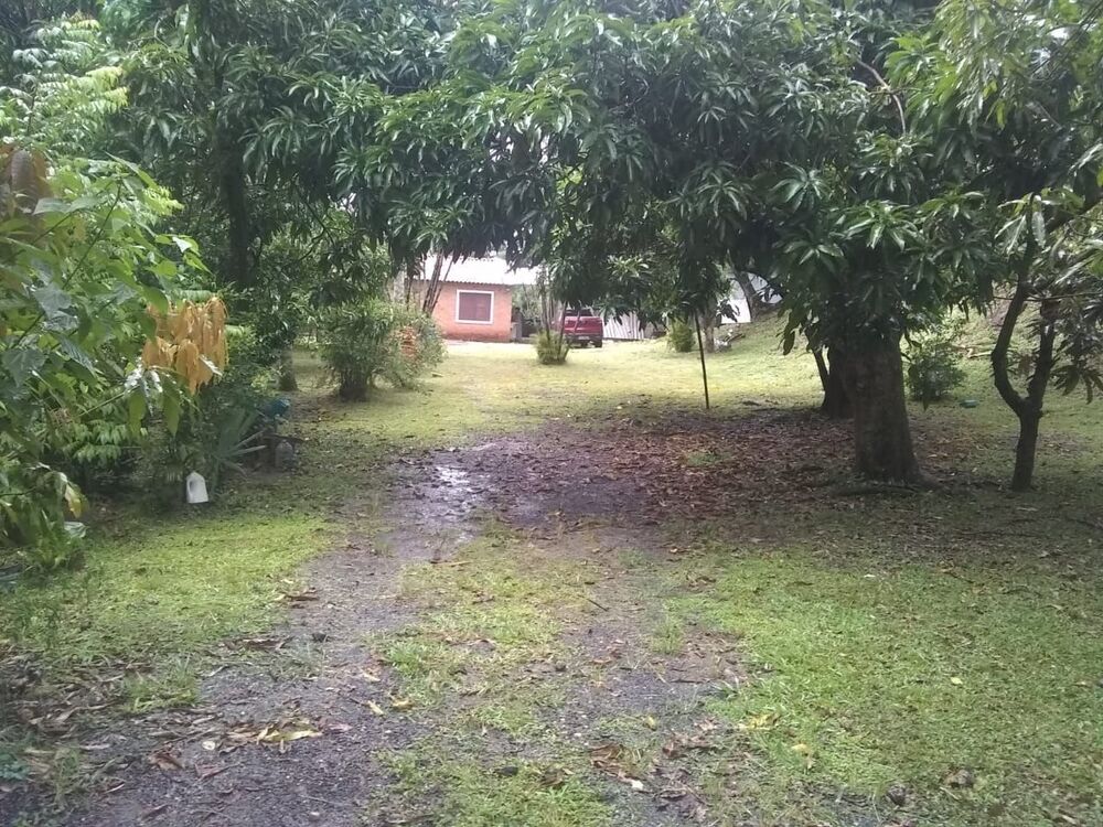 Chácara à venda com 2 quartos, 100m² - Foto 4