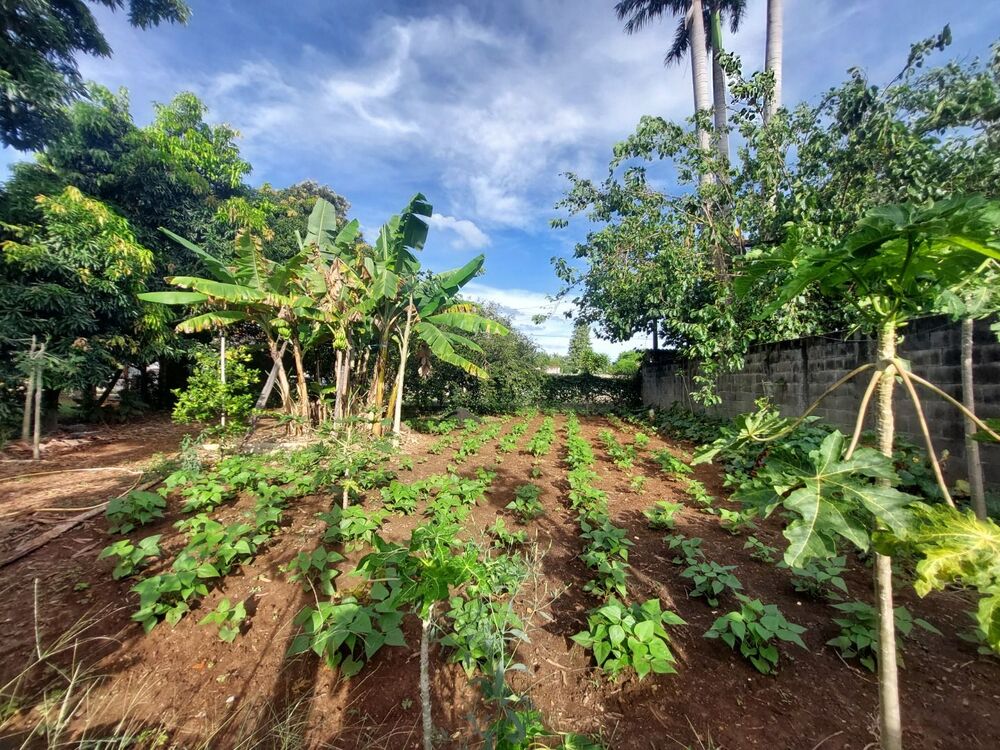 Chácara à venda com 2 quartos, 110m² - Foto 6