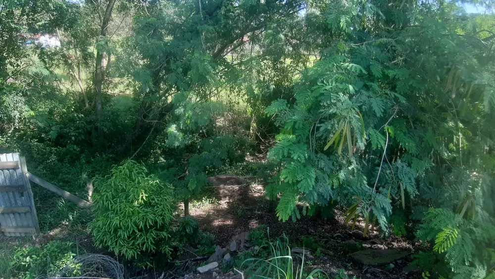 Fazenda, 4 quartos - Foto 1