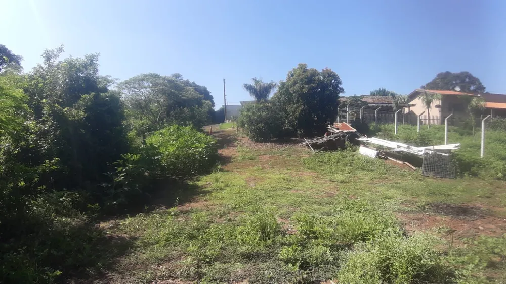 Fazenda, 4 quartos - Foto 3