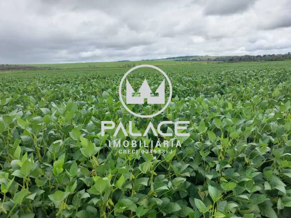 Fazenda - Foto 1