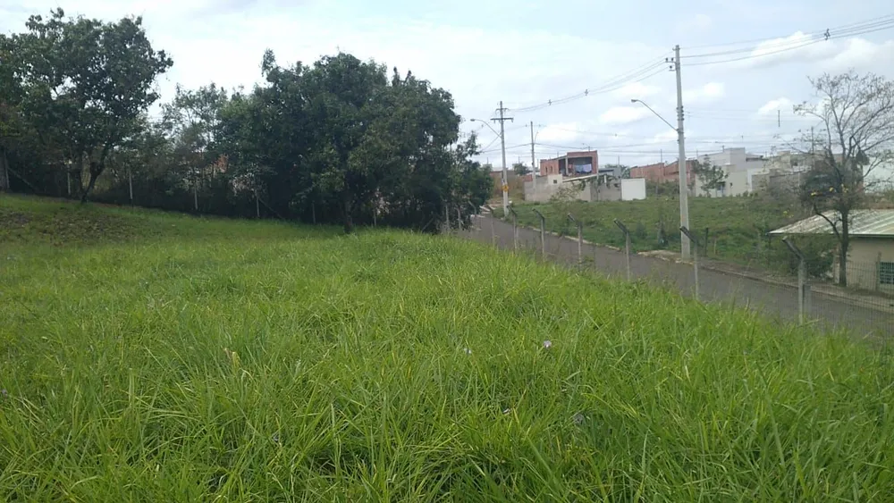 Terreno - Foto 6