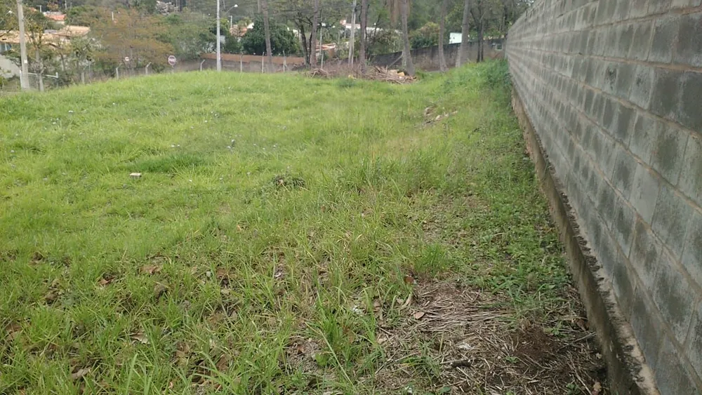 Terreno - Foto 5