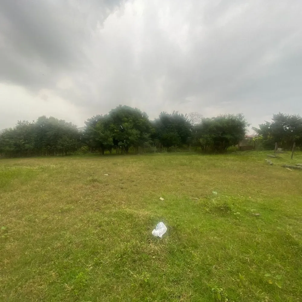Terreno - Foto 4