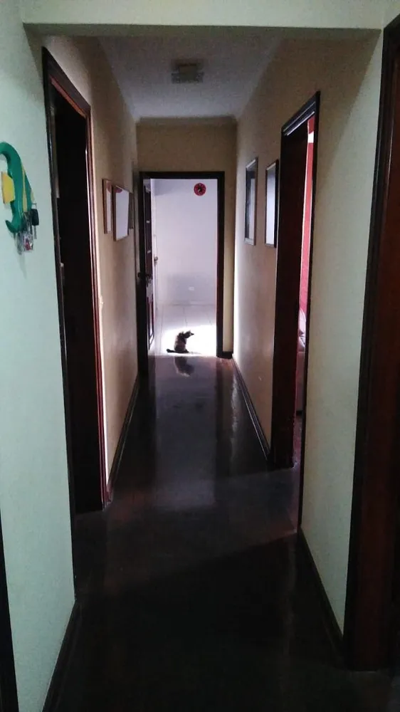 Casa, 3 quartos, 291 m² - Foto 5