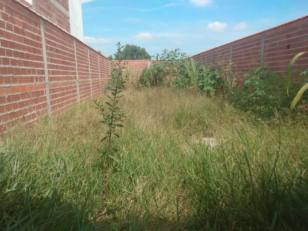 Terreno - Foto 2