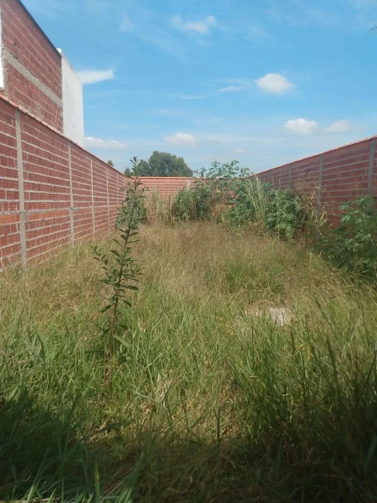 Terreno - Foto 3