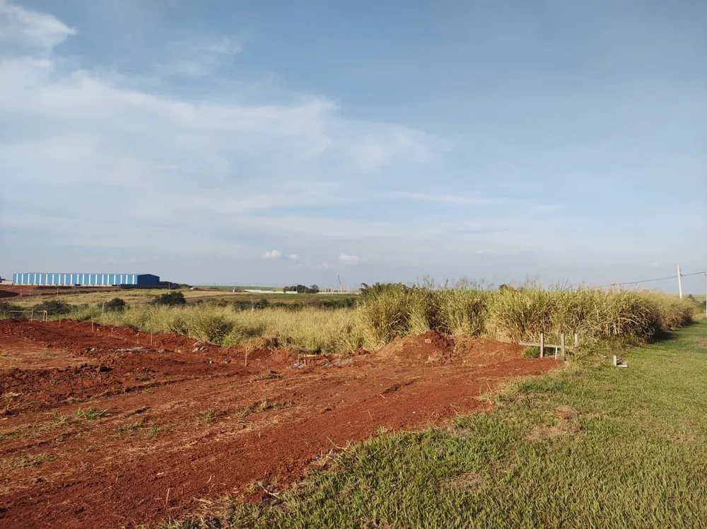 Terreno - Foto 5
