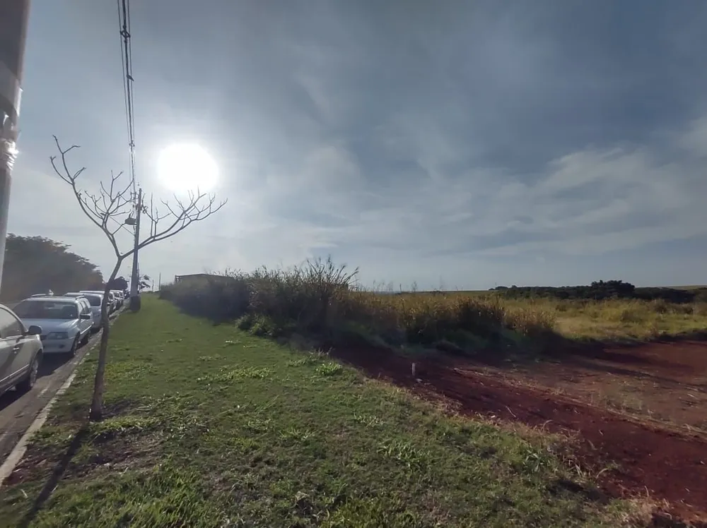 Terreno - Foto 4
