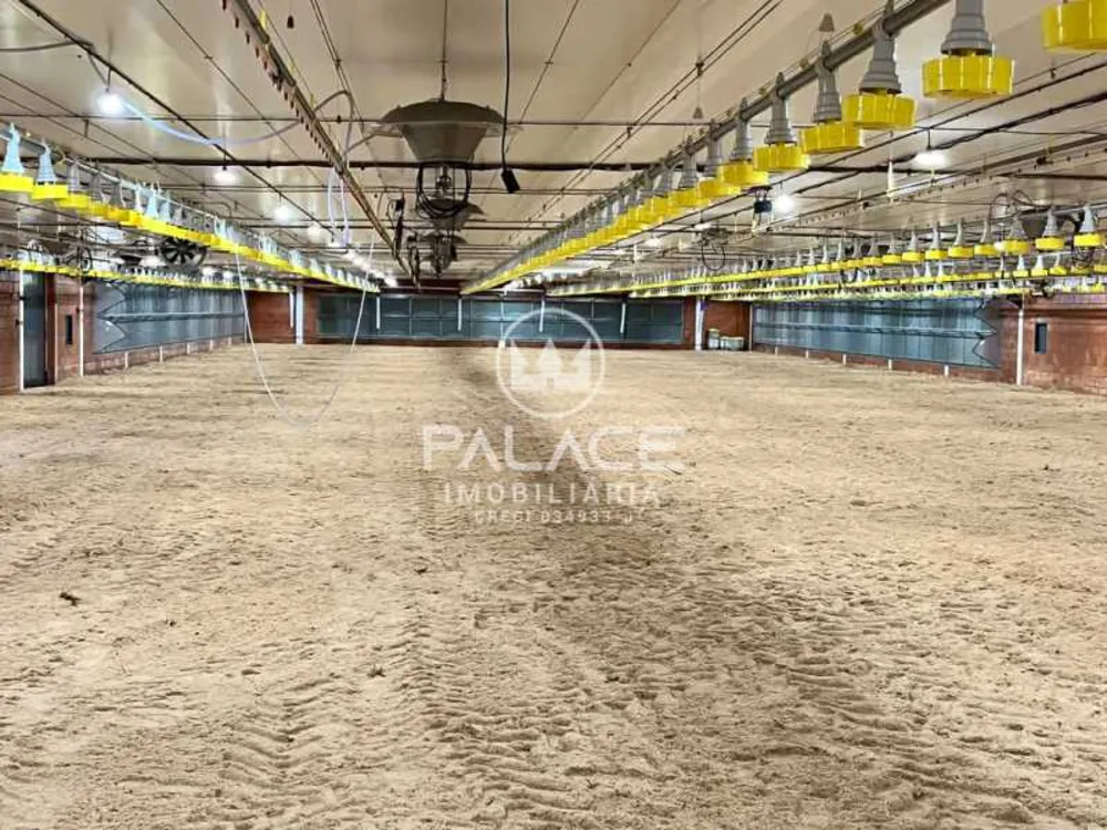 Fazenda - Foto 8