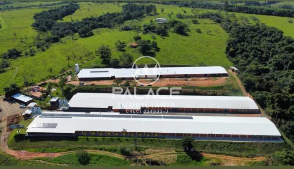 Fazenda - Foto 7