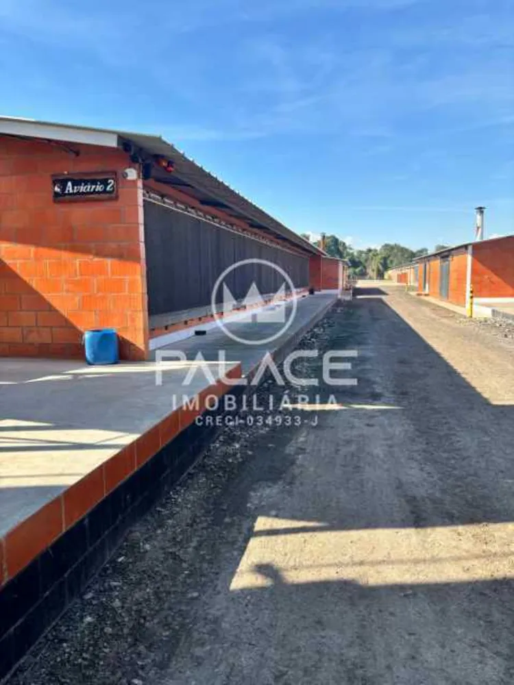 Fazenda - Foto 9