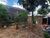 Terreno, 346 m² - Foto 5