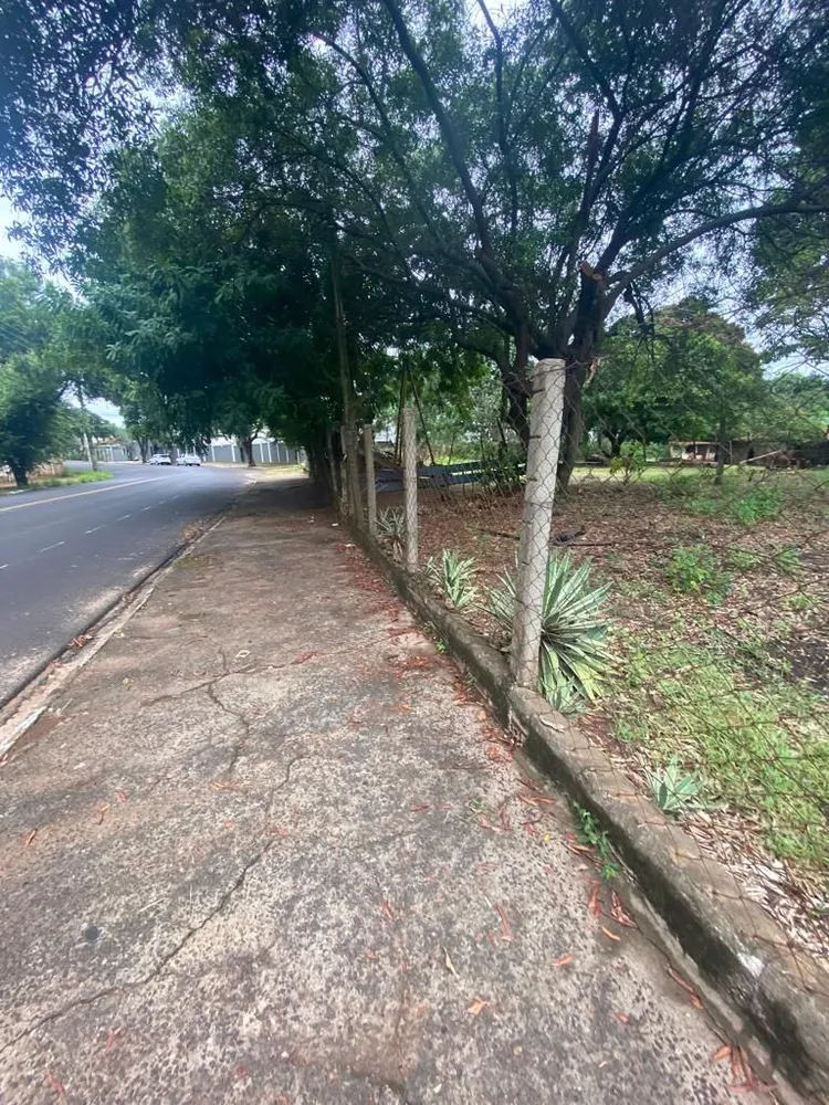 Terreno - Foto 5