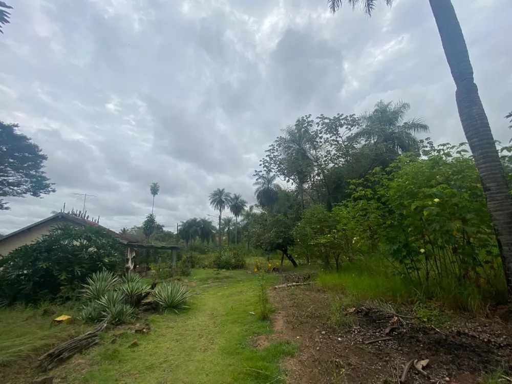 Terreno - Foto 2