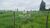Fazenda-Sítio-Chácara, 49 hectares - Foto 4