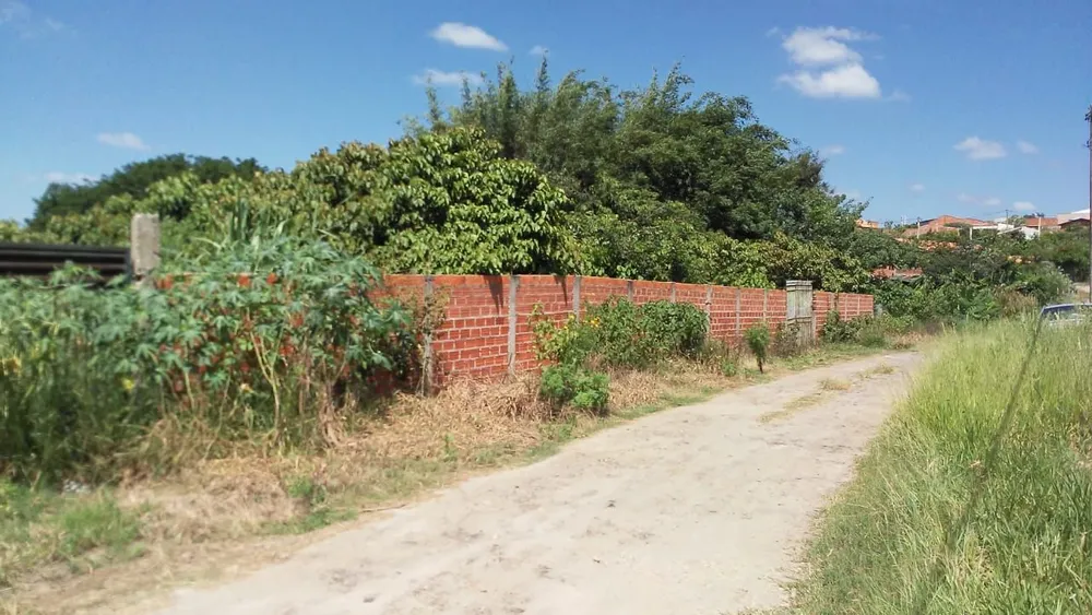 Terreno - Foto 5