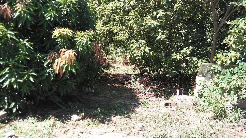 Terreno - Foto 1