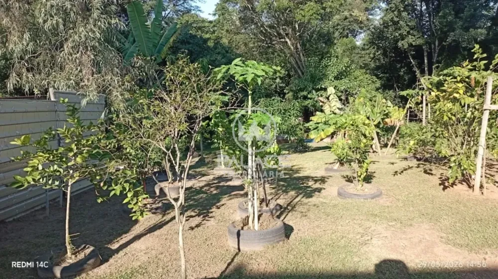 Chácara, 2 quartos - Foto 3