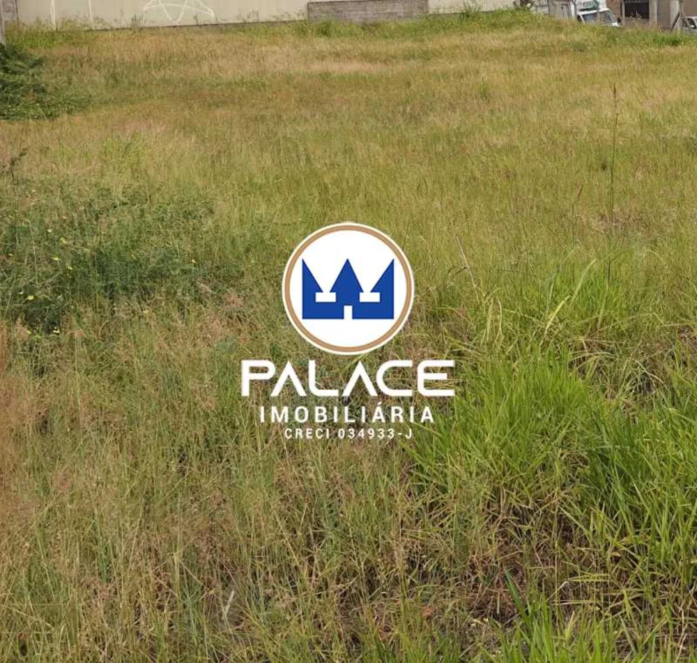 Terreno - Foto 3