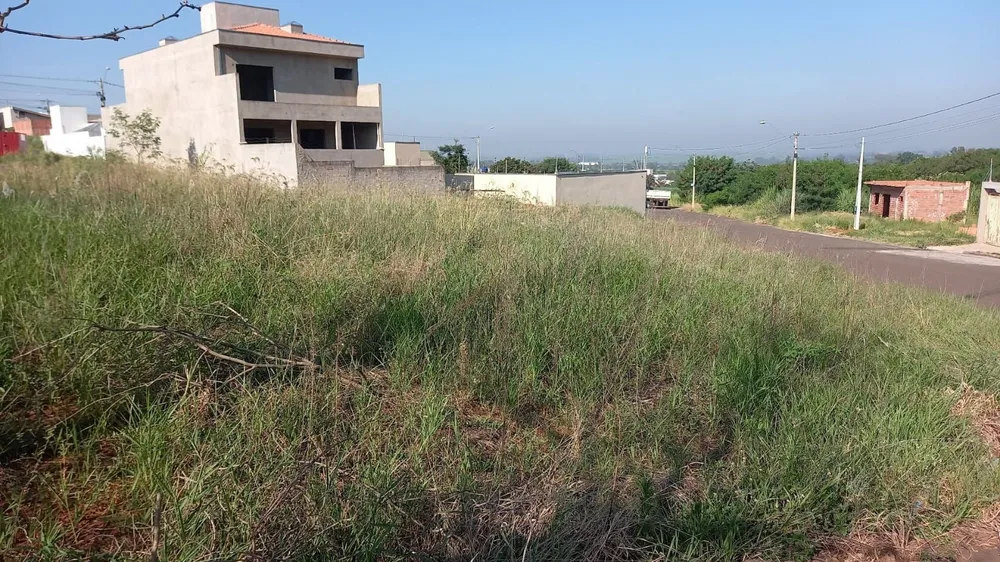 Terreno - Foto 2