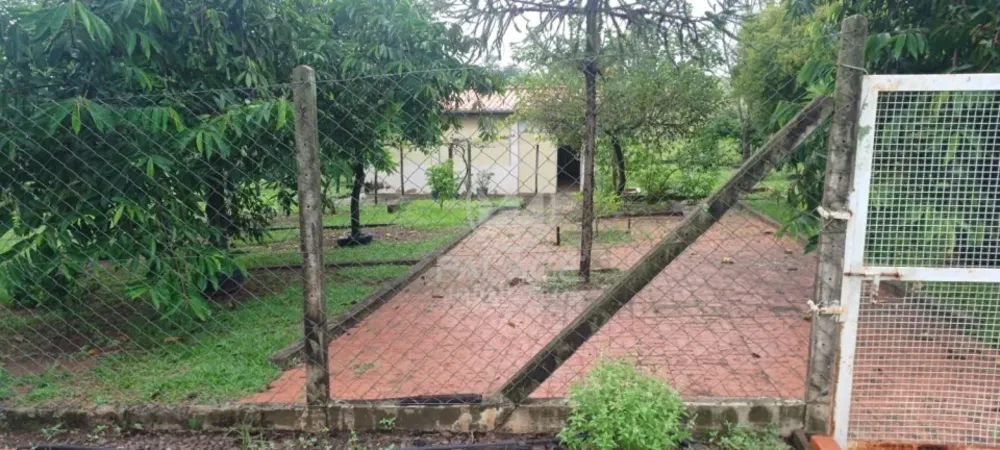 Sítio, 3 quartos, 58000 m² - Foto 3