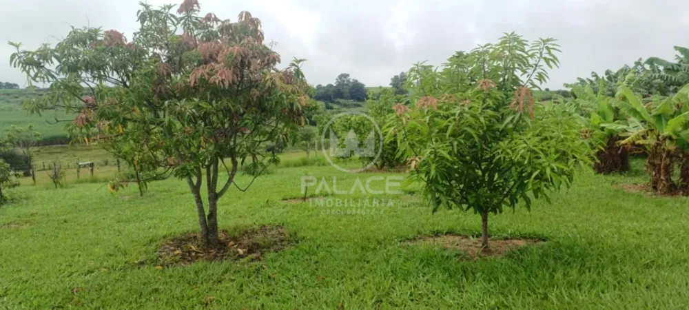 Sítio, 3 quartos, 58000 m² - Foto 4