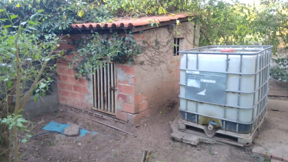 Chácara, 3 quartos - Foto 5