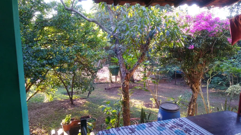 Chácara, 3 quartos - Foto 4