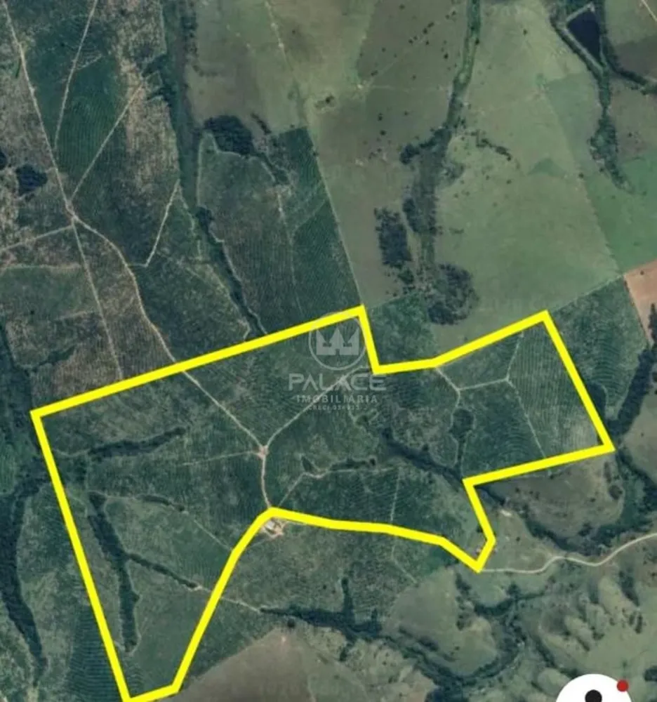 Fazenda - Foto 1
