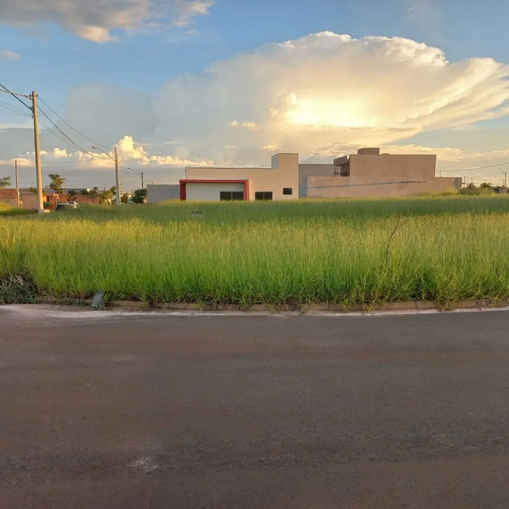 Terreno - Foto 1