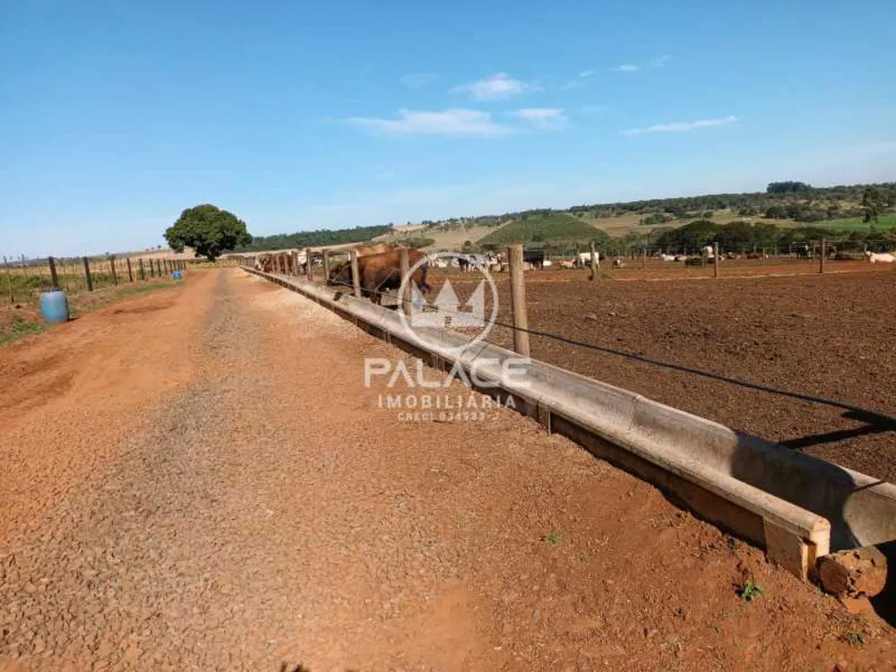 Fazenda, 4 quartos - Foto 8
