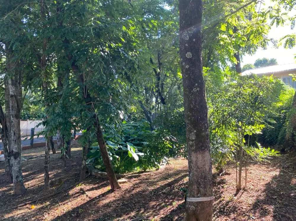 Chácara, 3 quartos - Foto 7