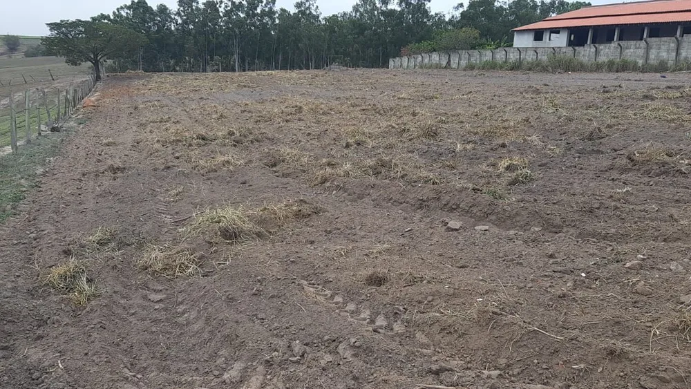 Terreno - Foto 4