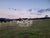 Fazenda-Sítio-Chácara, 194 hectares - Foto 3