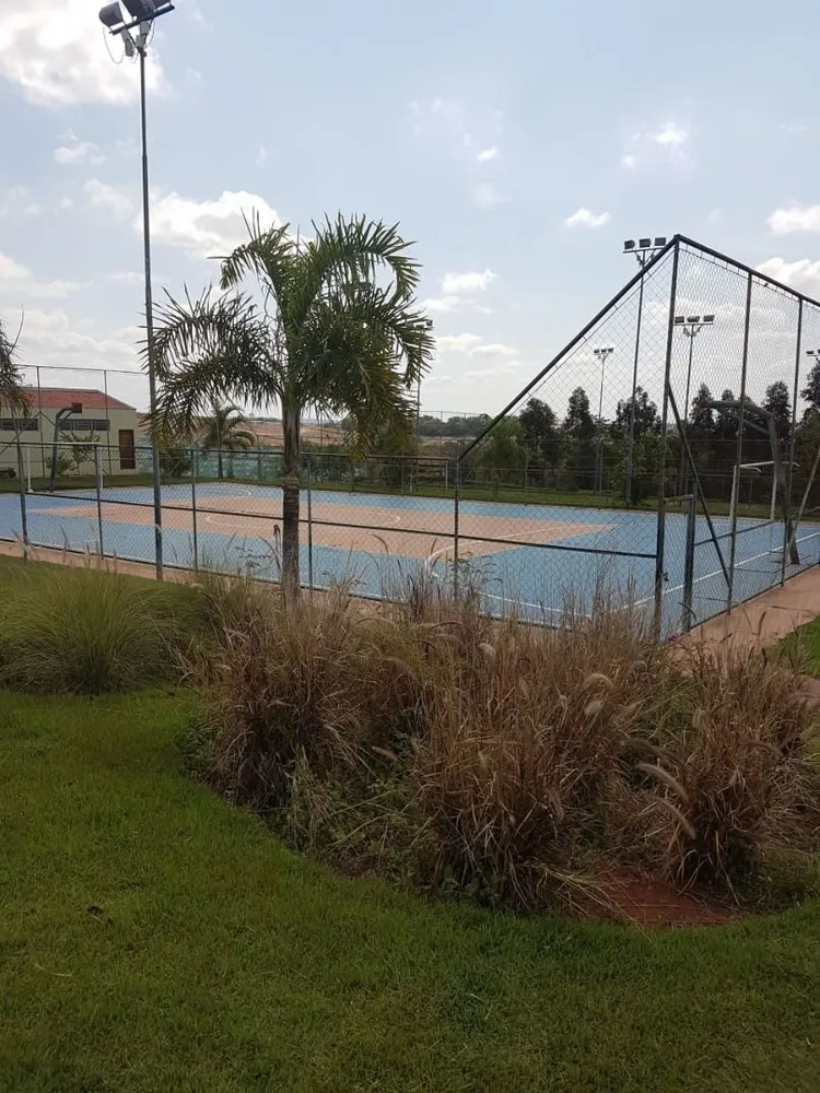 Terreno - Foto 4