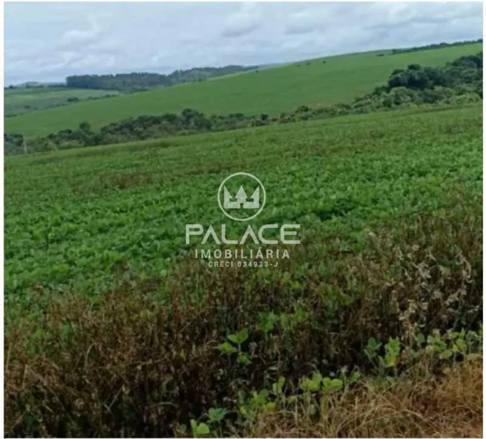 Fazenda - Foto 11