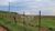 Fazenda-Sítio-Chácara, 329 hectares - Foto 8