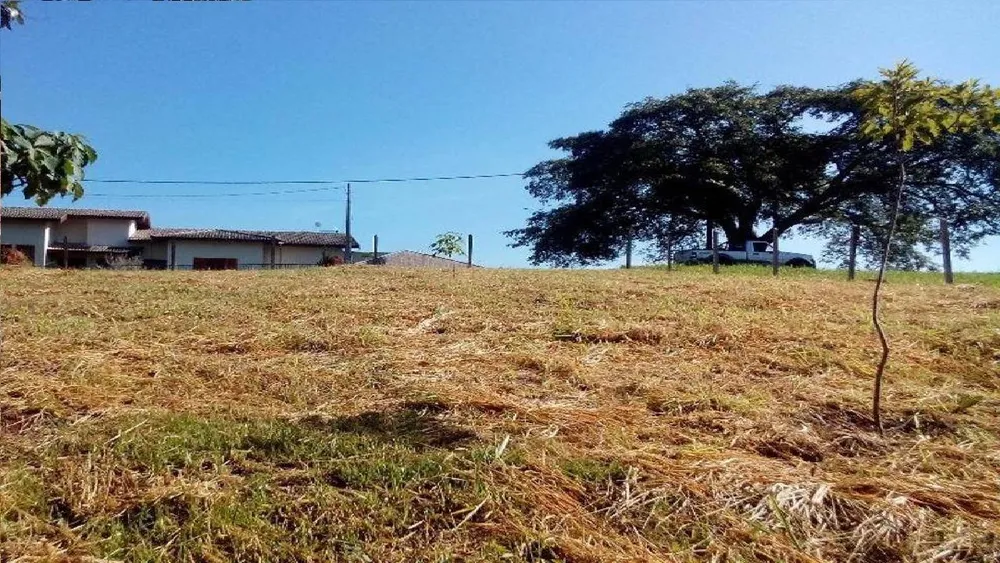 Terreno - Foto 5