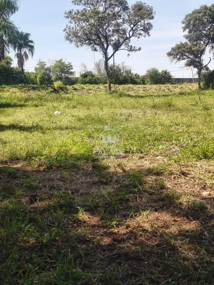 Terreno, 8300 m² - Foto 5