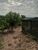 Chácara, 2 quartos, 1000 m² - Foto 3