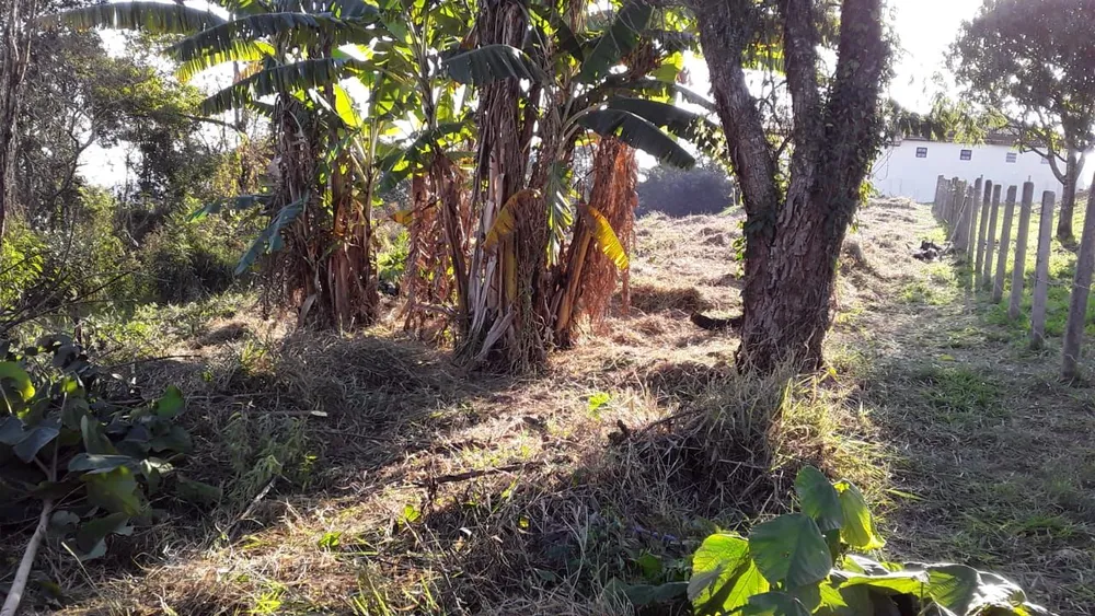Terreno - Foto 4