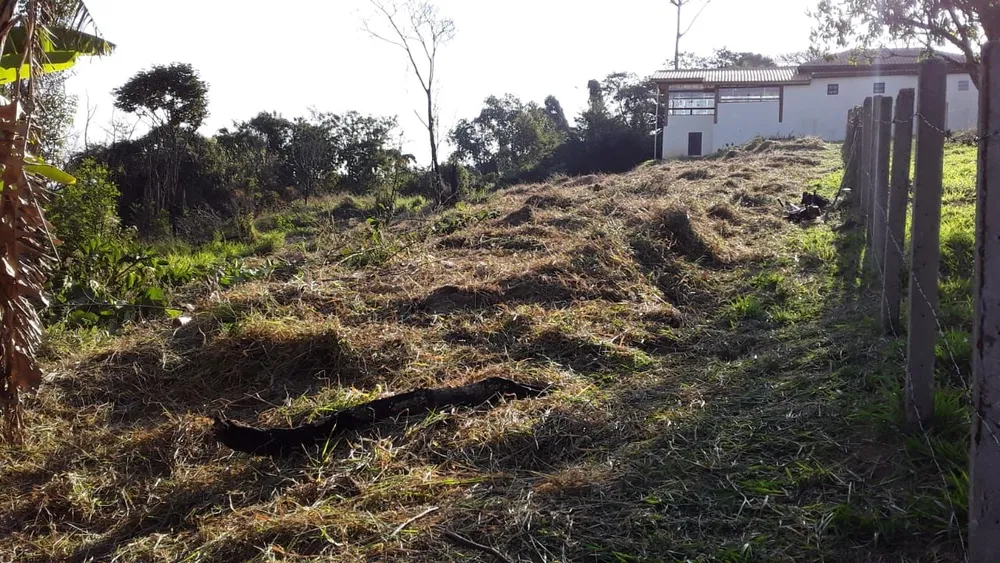 Terreno - Foto 3