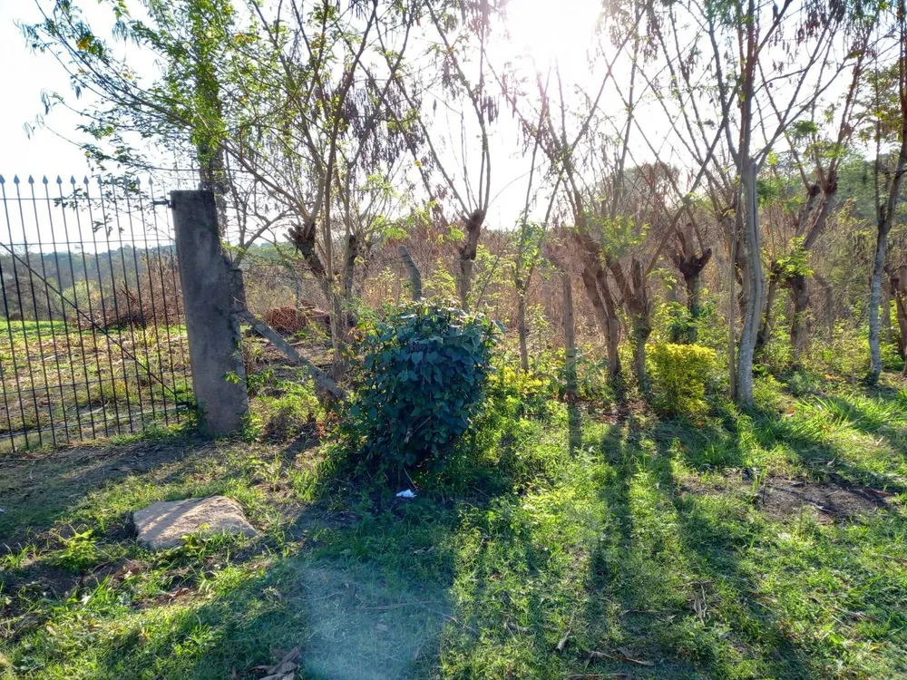 Terreno - Foto 4