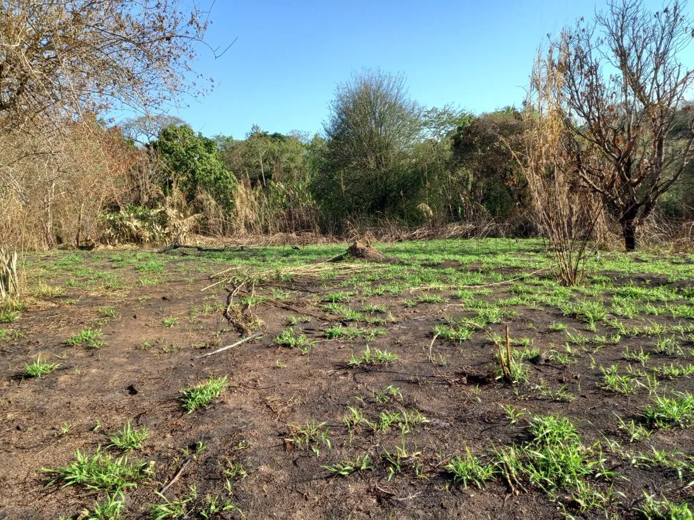 Terreno - Foto 5