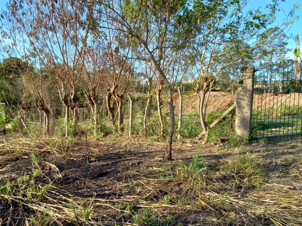 Terreno - Foto 2