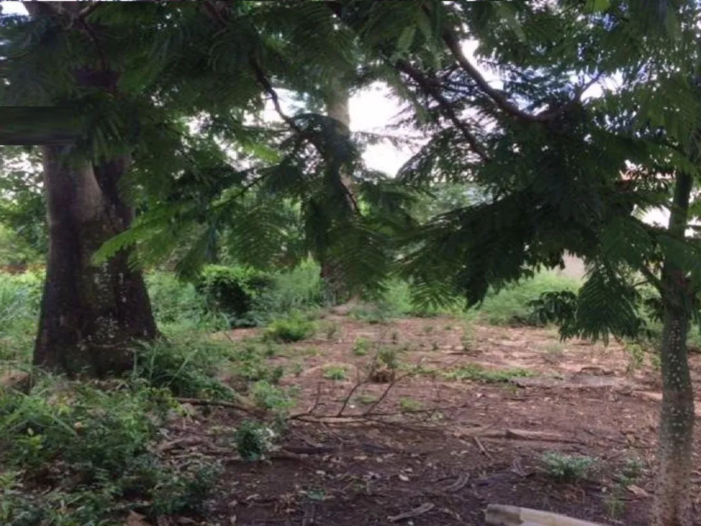 Terreno, 2300 m² - Foto 4